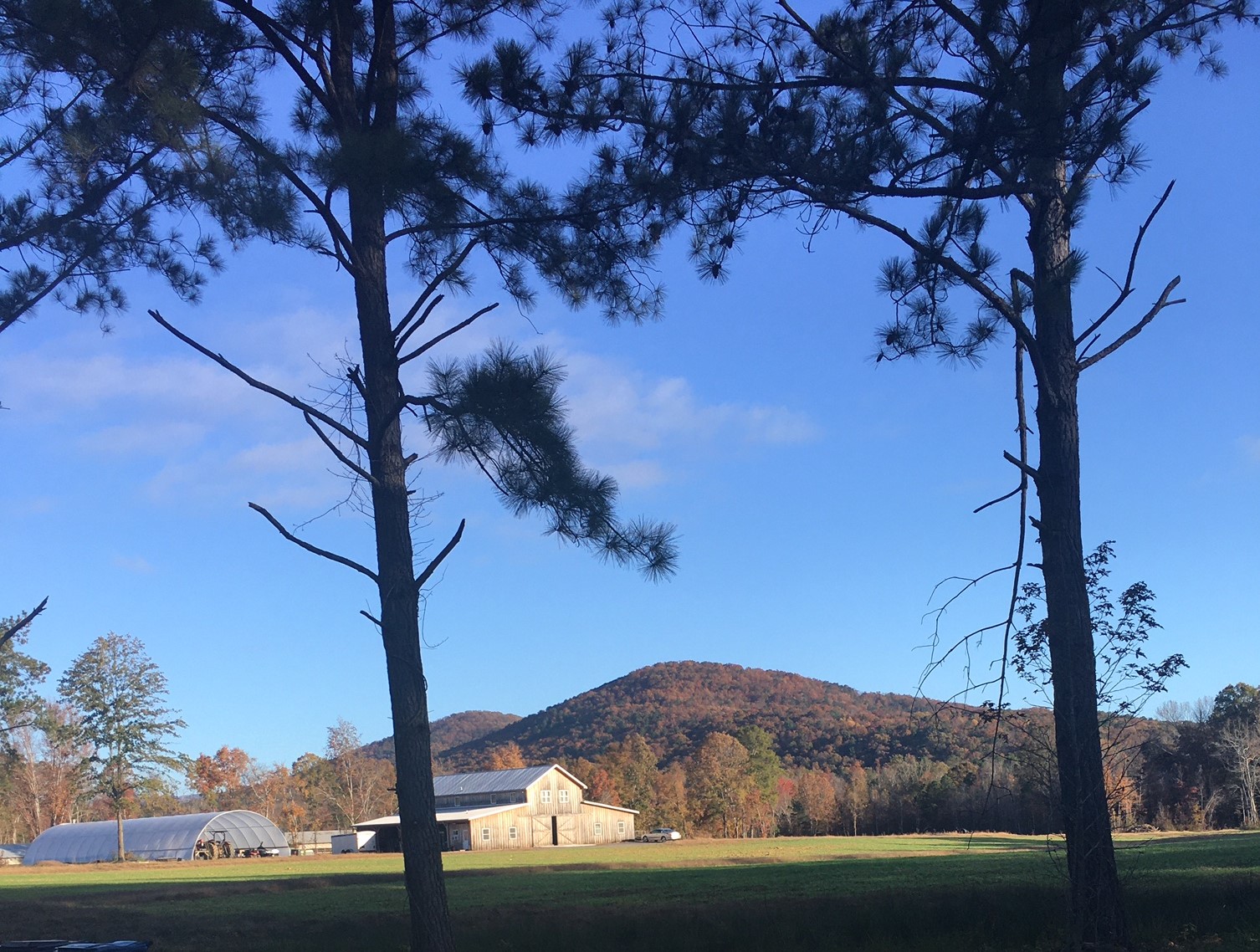 April Rise Farm Farm Happenings for November 24, 2020 - Farm Happenings at Rise N Shine ...