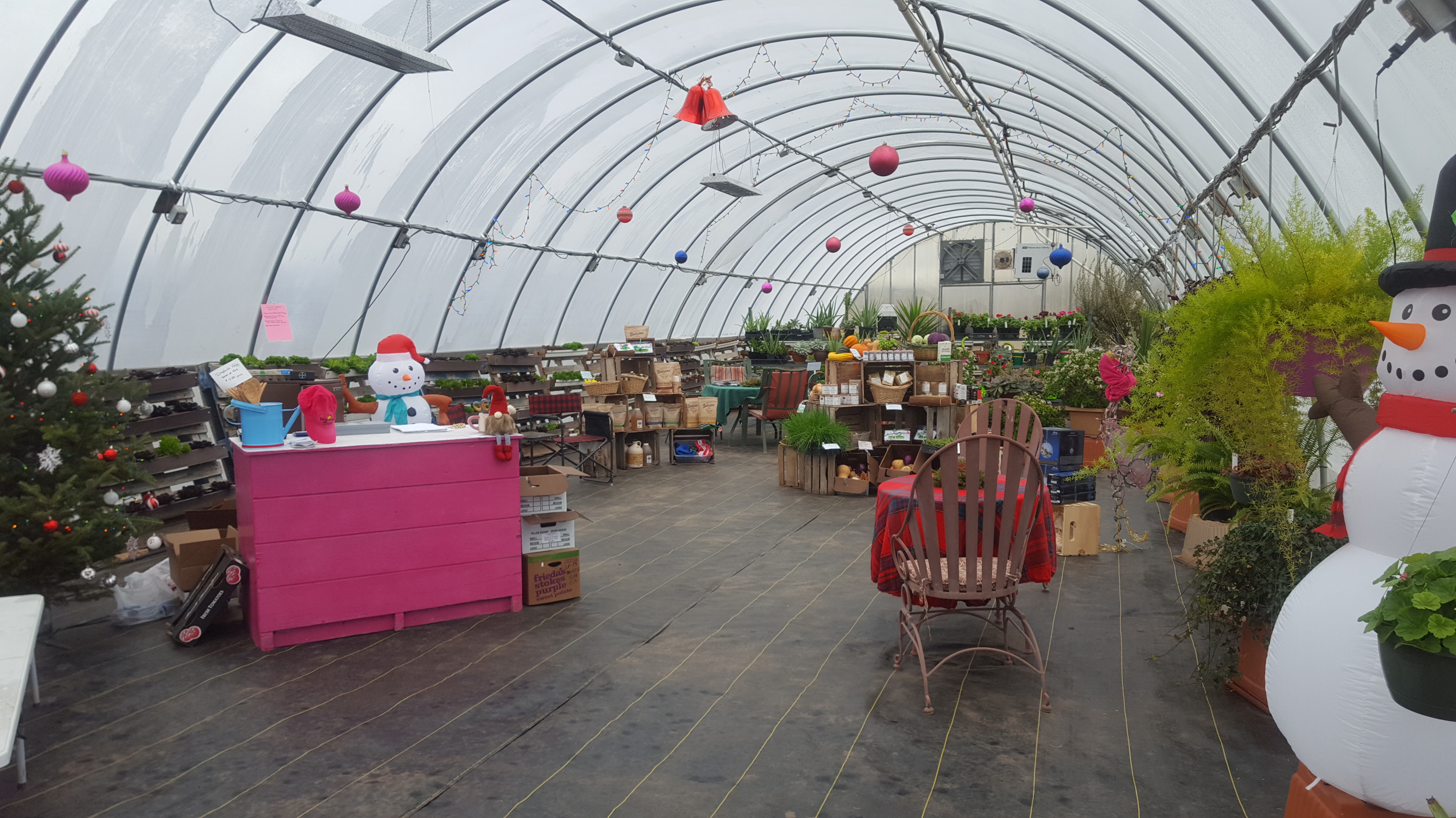 Final Farm Share of the Early Winter Season 6 of 6 Farm Happenings at