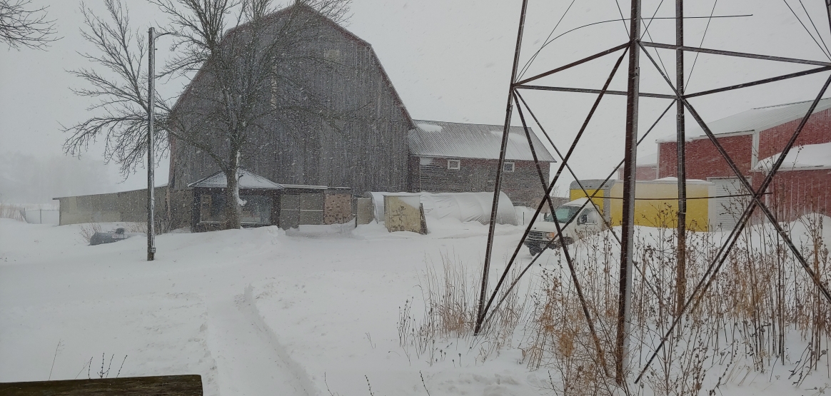 Summer's Coming! Farm Happenings at Rare Earth Farm Harvie