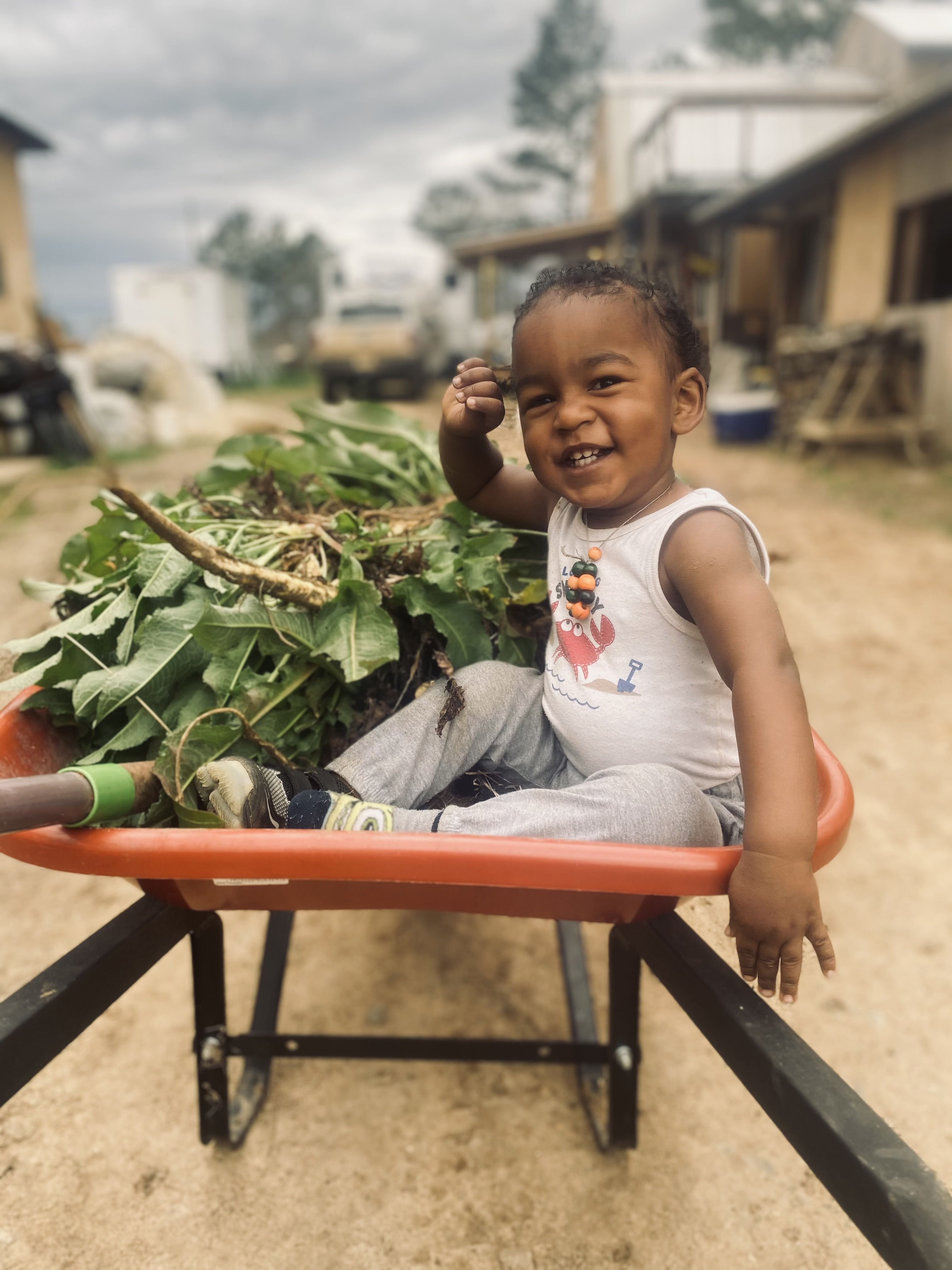 Farm Babies! Farm Happenings at Atlanta Harvest Harvie