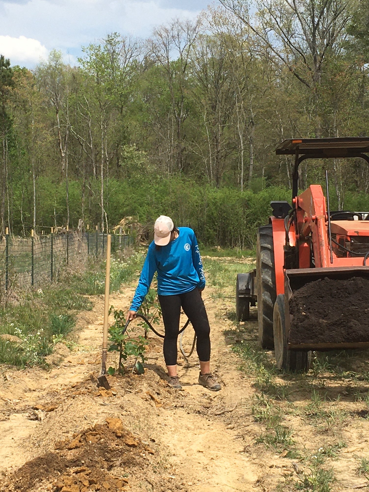 Farm Happenings for April 13, 2021 - Farm Happenings at Rise N Shine ...