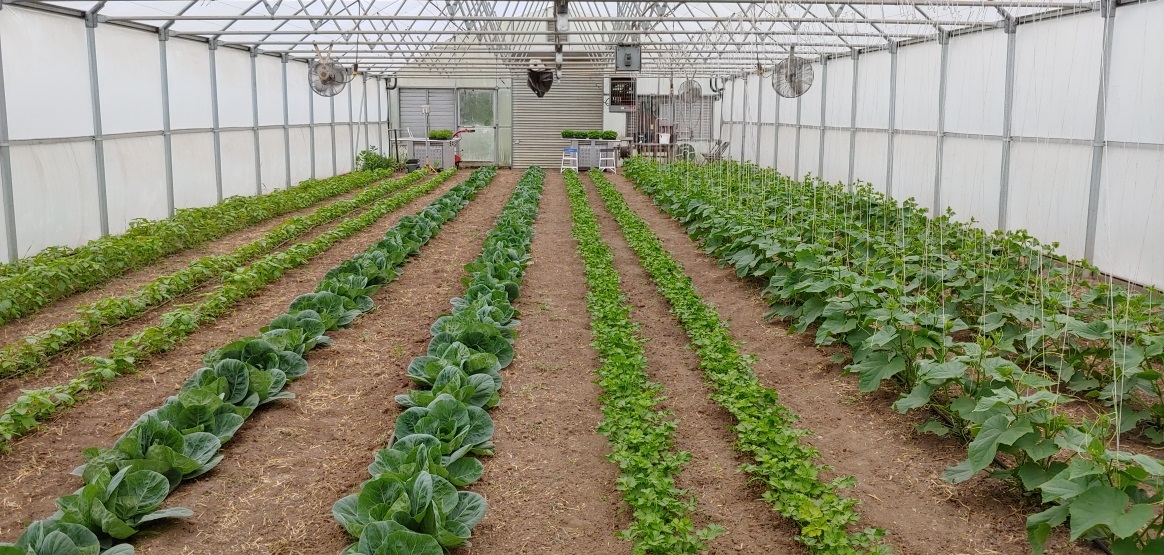 On course for the first season's delivery on June 17th Farm