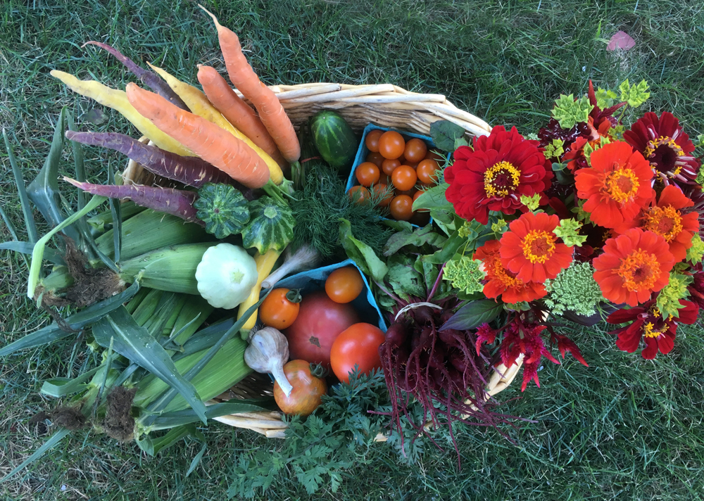 Farm Happenings 5/31/2021 New Season Review / New Customization Page