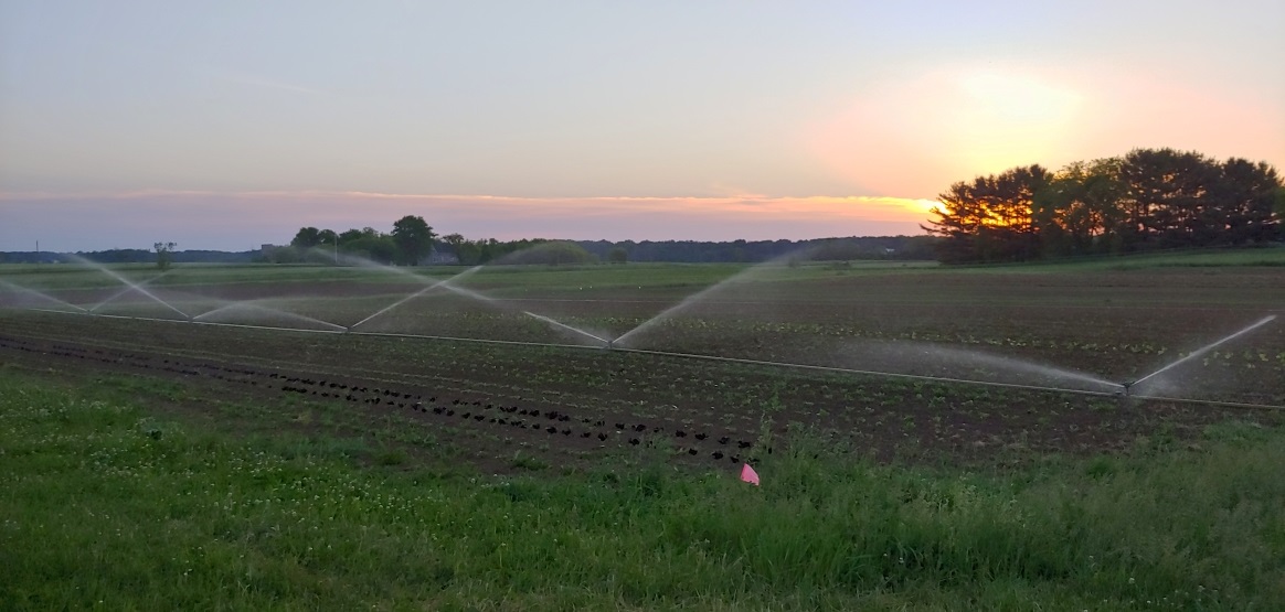 Farm Stand Register Rare Earth Farm Harvie