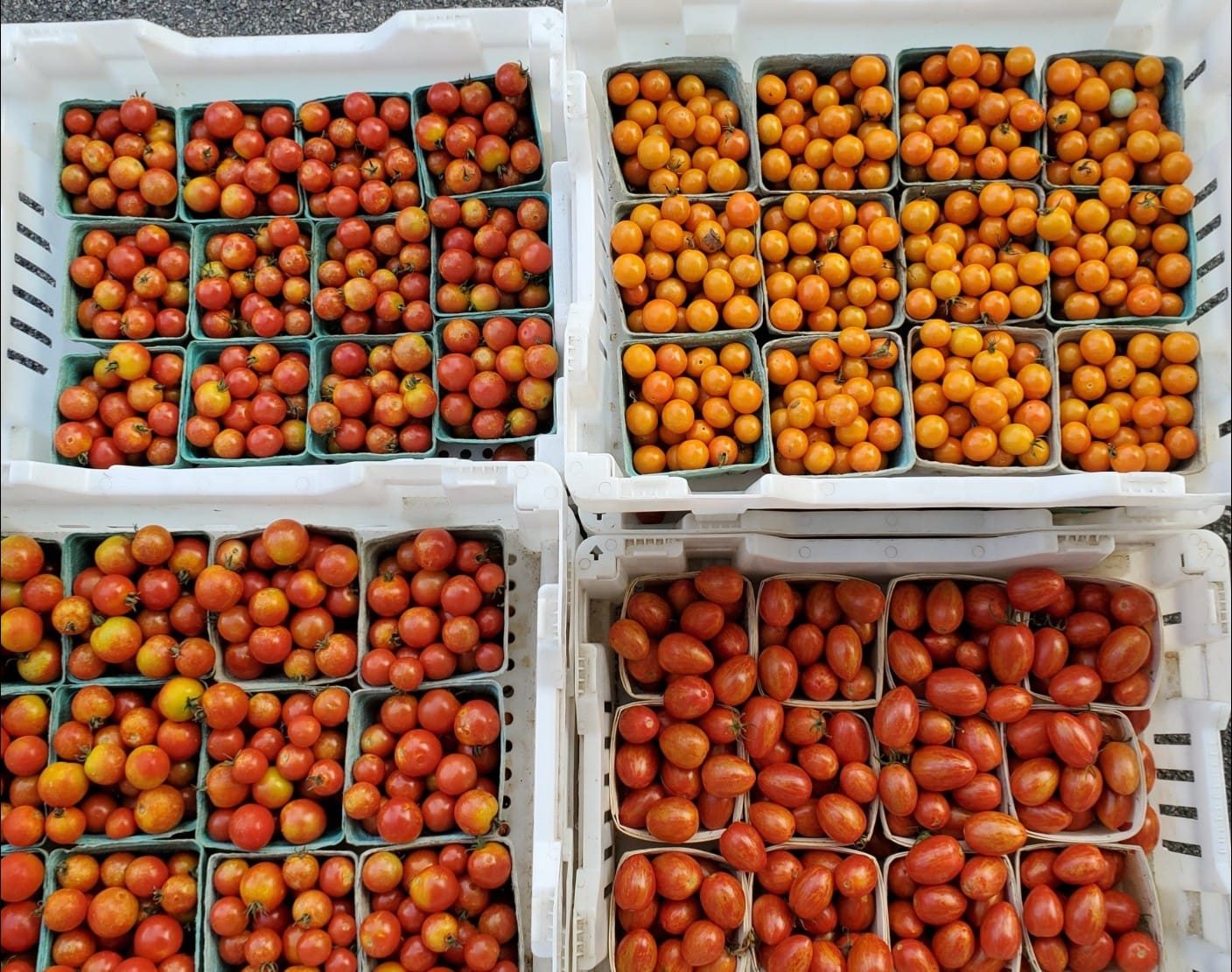 Storing Produce Properly, plus amazing Extras - Farm Happenings at ...