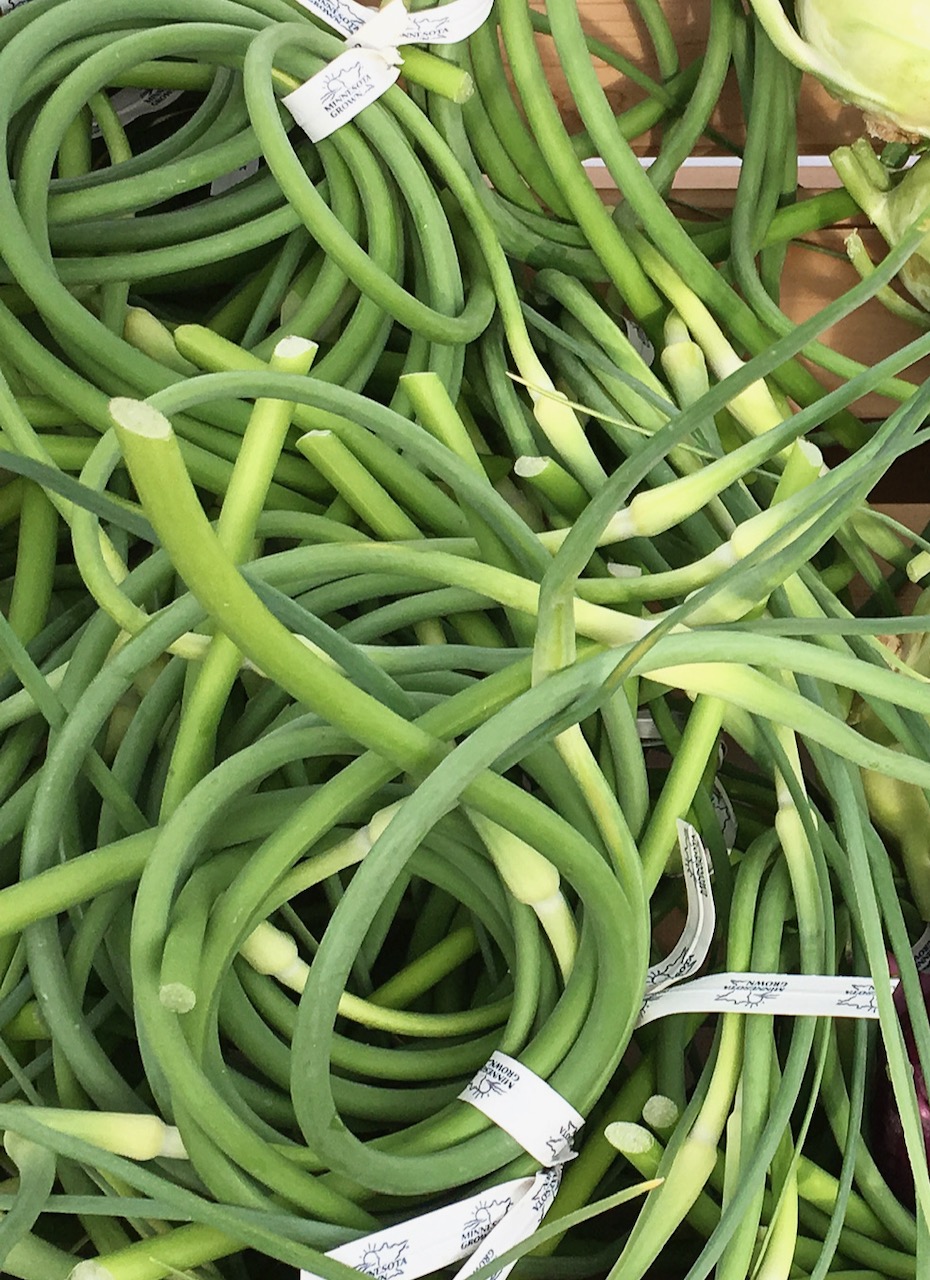 Don't miss out on Garlic Scapes The 2 BEST Ways to Use Scapes! Farm Happenings at Cedar