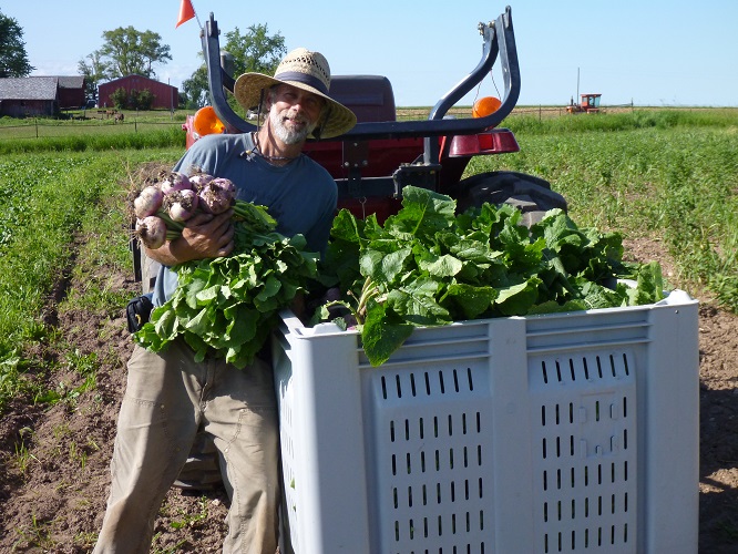 Farm Stand Grand Opening Farm Happenings at Rare Earth Farm Harvie
