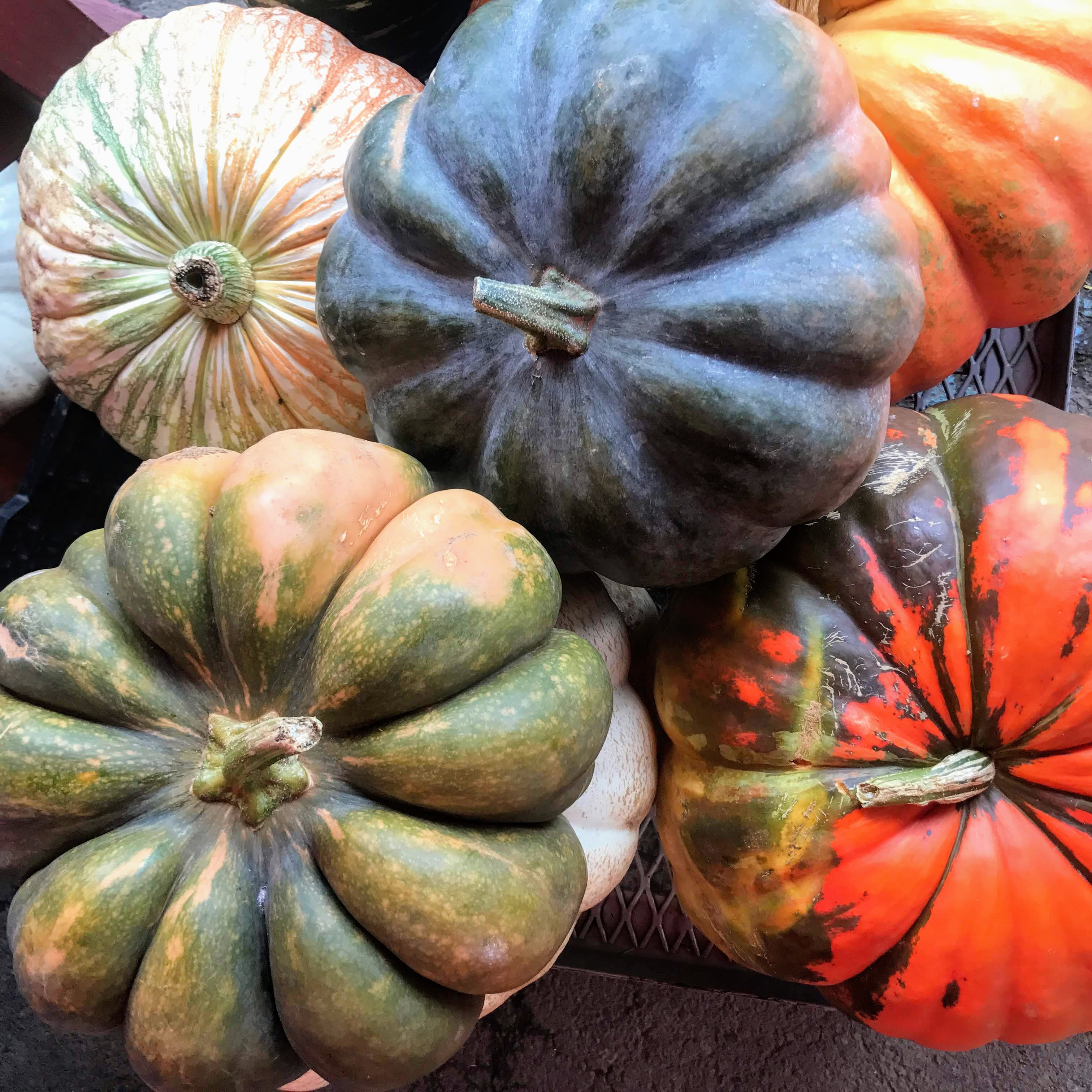 Alstede Farm Coupon Code - st5ut7y