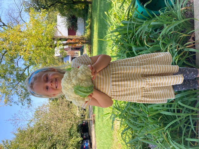 Farm Happenings October 11th 2022 Farm Happenings At Dickinson