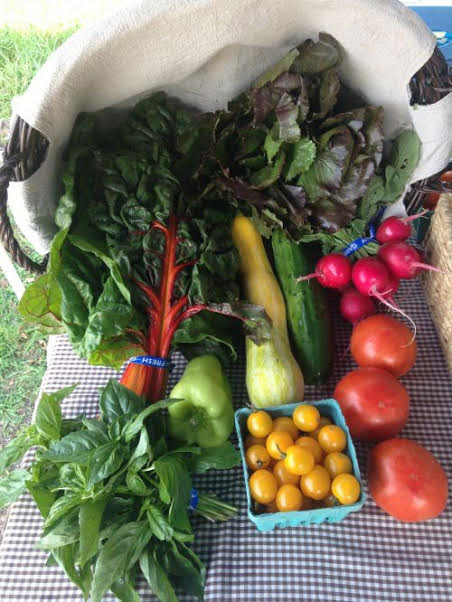 2018 Summer Vegetable Share - Medium
