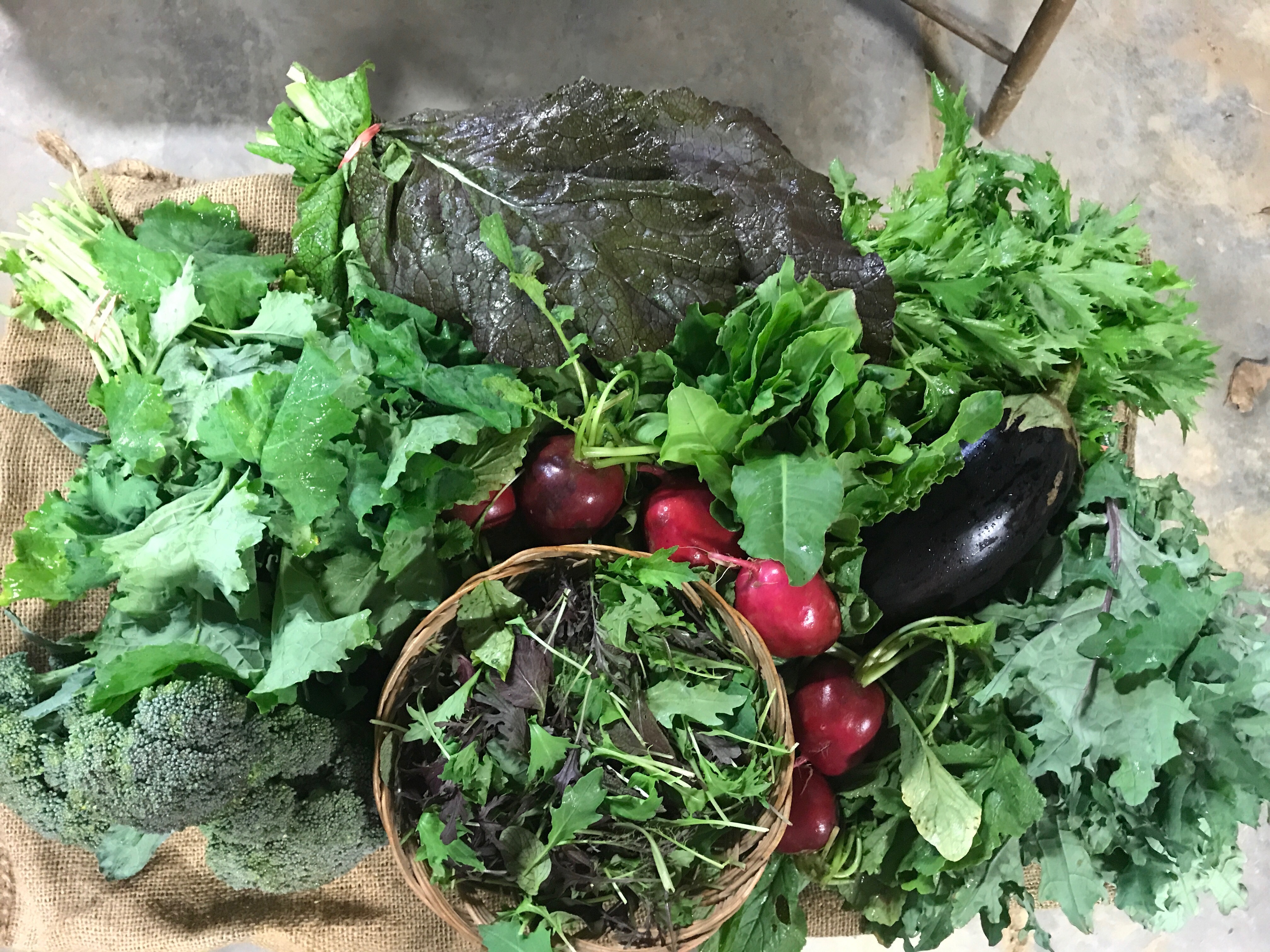 Vegetable Share - 2018