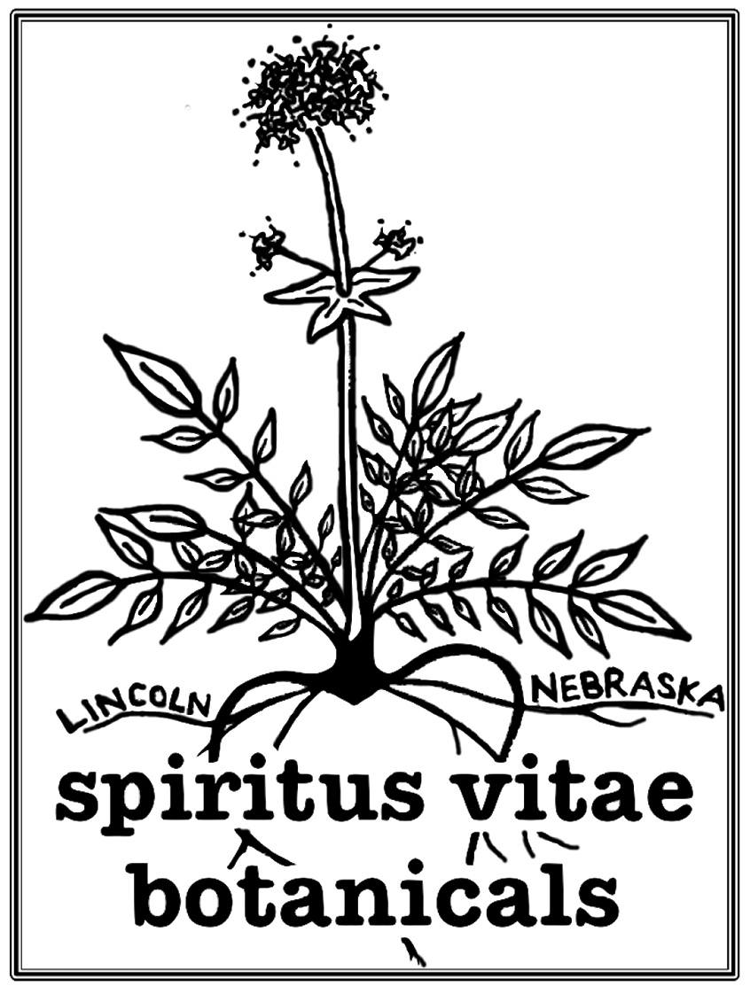 Harvie Csa Farm Shares From Robinette Farms