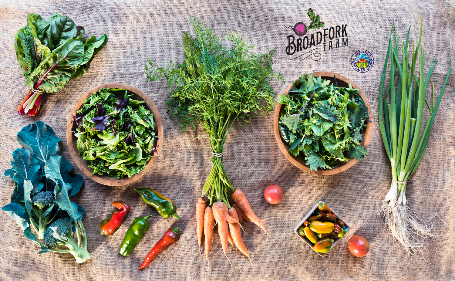 Harvie CSA / farm shares from Broadfork Farm