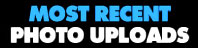 Most Recent Photo Gallery Updates