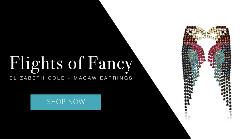 Shop new Elizabeth Cole macaw earrings