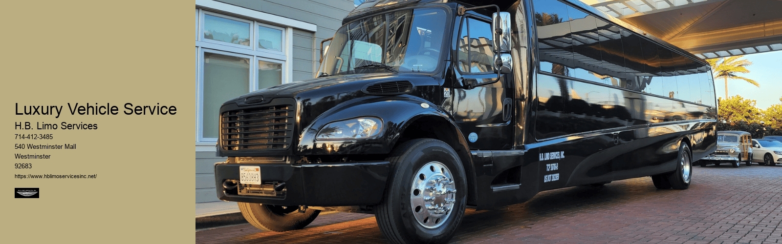 Luxury Vehicle Service