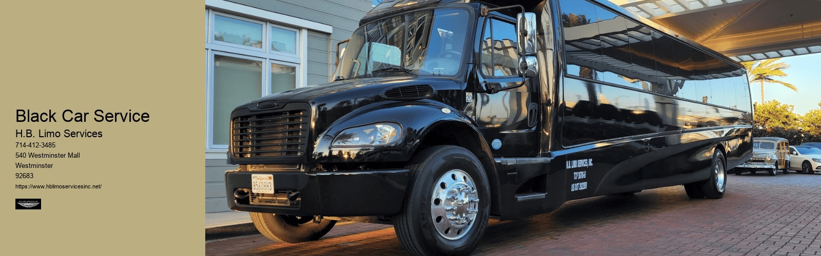 Black Car Service