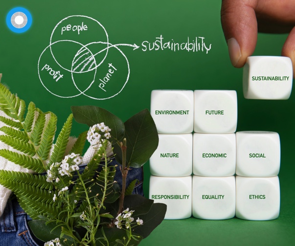 Fashioning a Greener Future: The Power of Technology in Sustainable Style