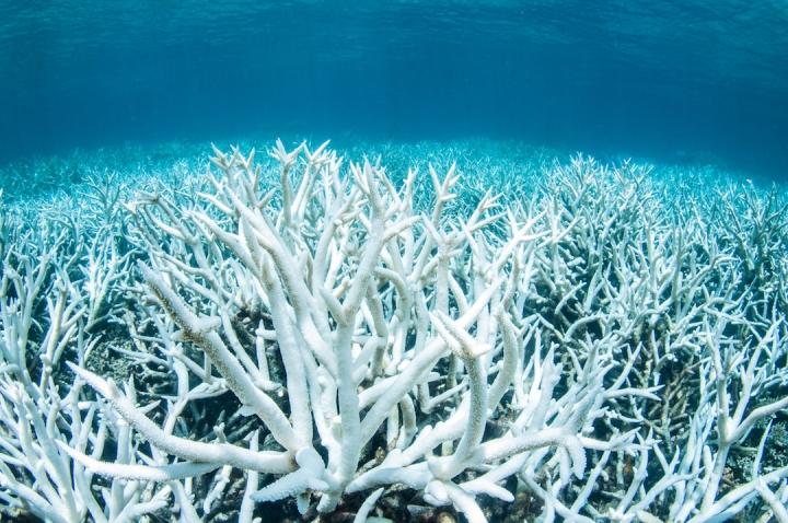 Unsustainable Tourism