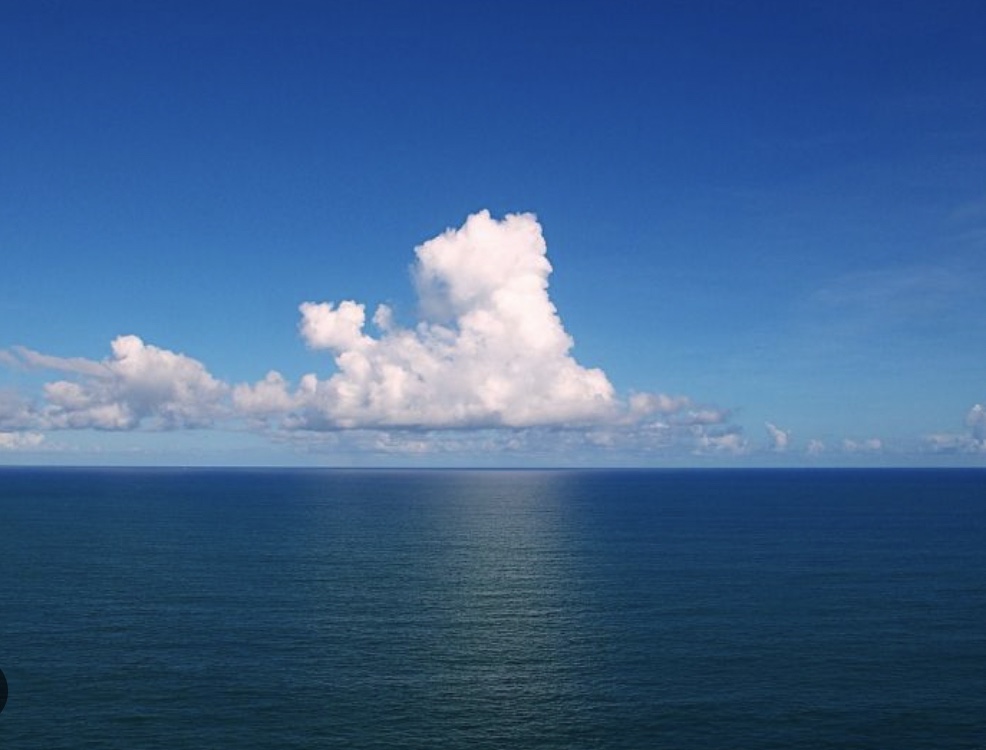 Protecting the Jewels of the Atlantic: The Importance of Coral Reefs in the Face of Climate Change and Human Activity