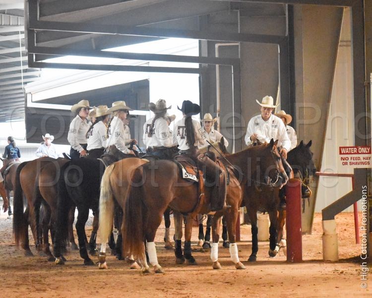 Stock Horse of Texas 2019