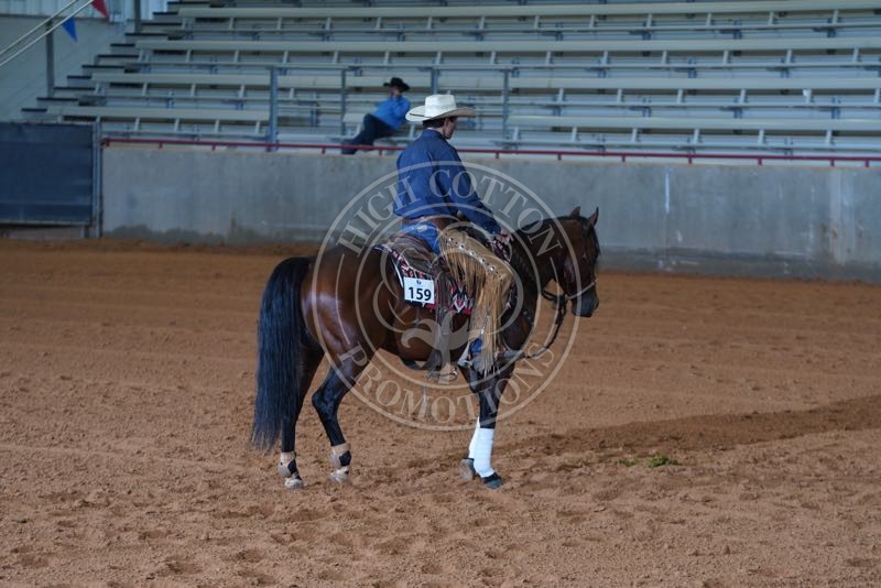 Stock Horse of Texas Bryan