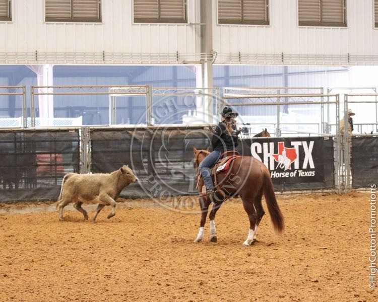 Stock Horse of Texas 2019 HCP