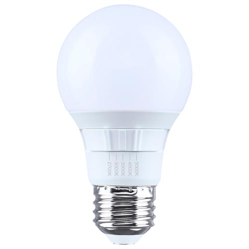 Satco® 6W LED A19 Medium Base White Bulb, 5CCT 
