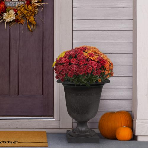 Tierra Verde 23" Crescendo Urn, Black