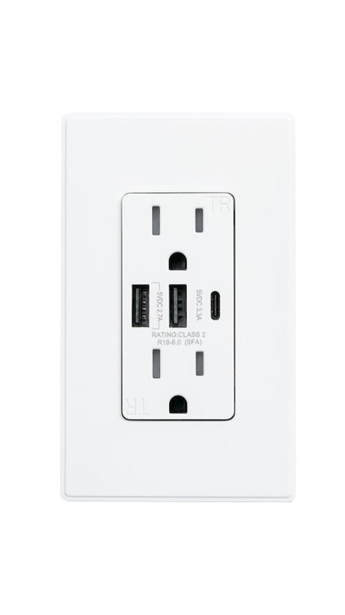 Maintenance Warehouse® 15 Amp Duplex Standard Outlet W/ Ac-Type USB Charger