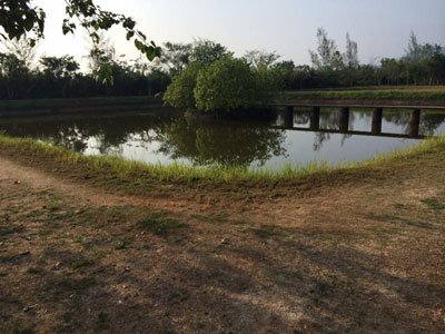 Suan Mokkh, ten day silent retreat, buddhism, monastic life, thailand, south east asia, meditation, zen, peaceful, the ponds - HeadStuff.org