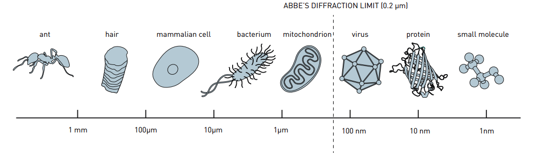 Ernst Abbe Diffraction Limit