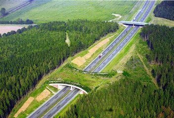 wildlife pass over highway