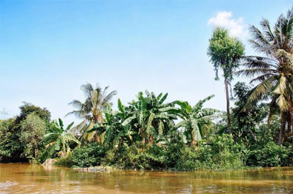 mekong delta aengus tukel - headstuff.org