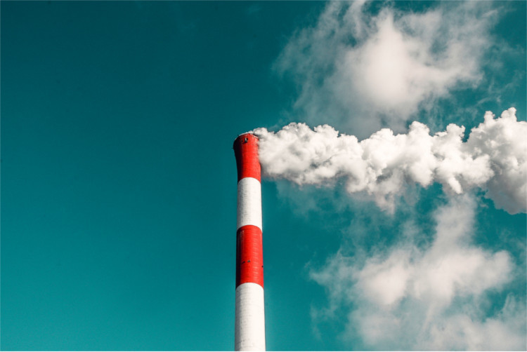 The Natural World Smokestack - HeadStuff.org