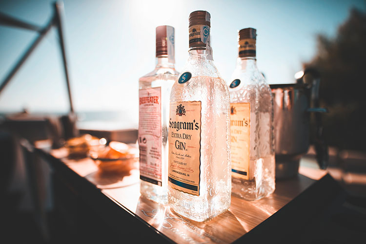 7 Things You Need To Know About Gin - Headstuff.org