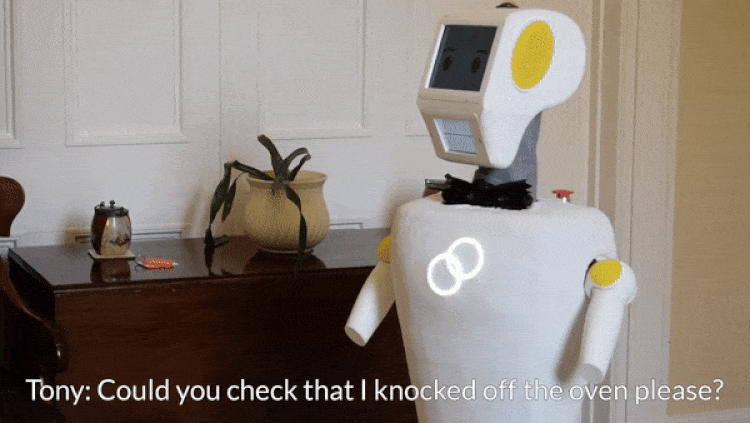 Irish AI Robot