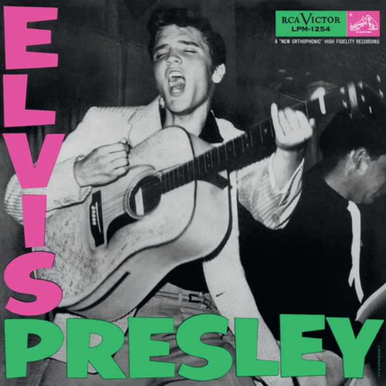 Concert-Photography-Elvis