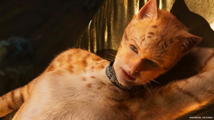 cats - headstuff.org
