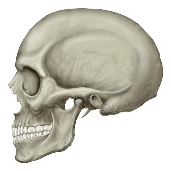 Basilar Skull Fx