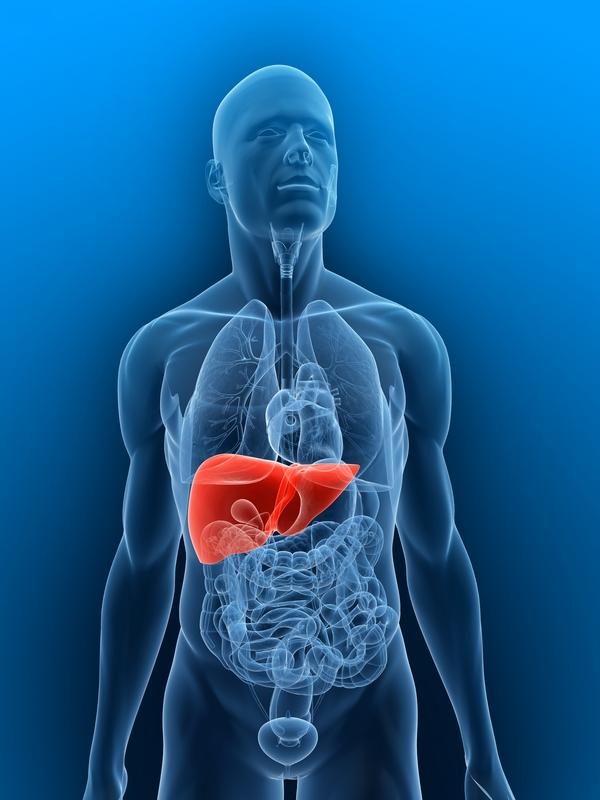 Liver Function Test Interpretation In Pregnancy