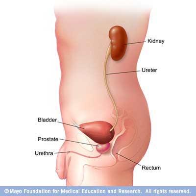 What Is Urethritis