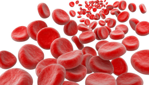 Destruction Of Hemoglobin