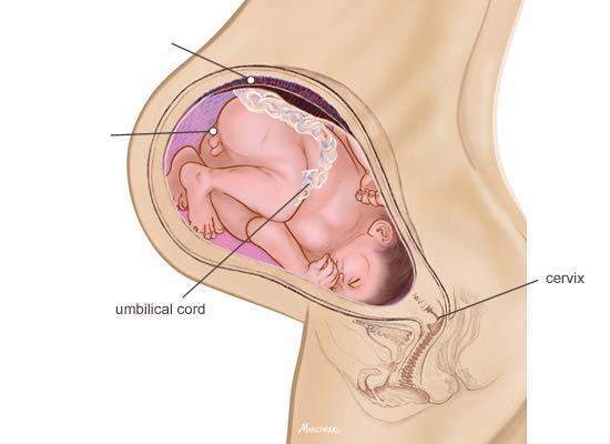 38 Weeks Pregnant | Pregnant for 38 Weeks.