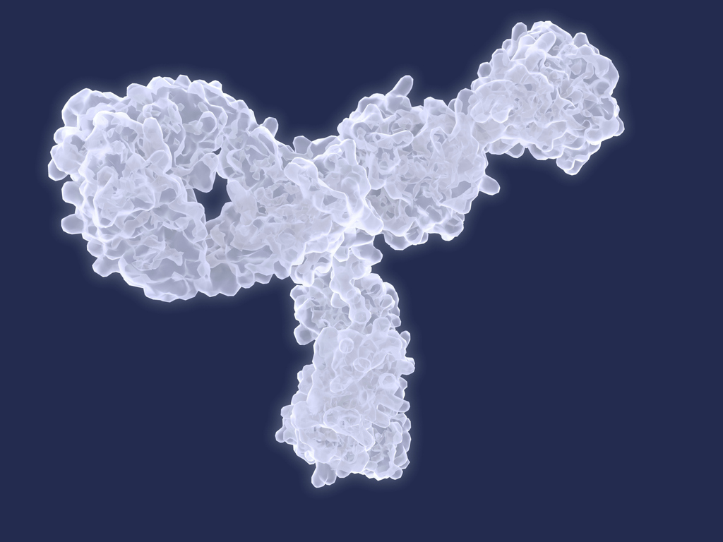 Apolipoprotein B Doctor Answers apolipoprotein-b-doctor-answers