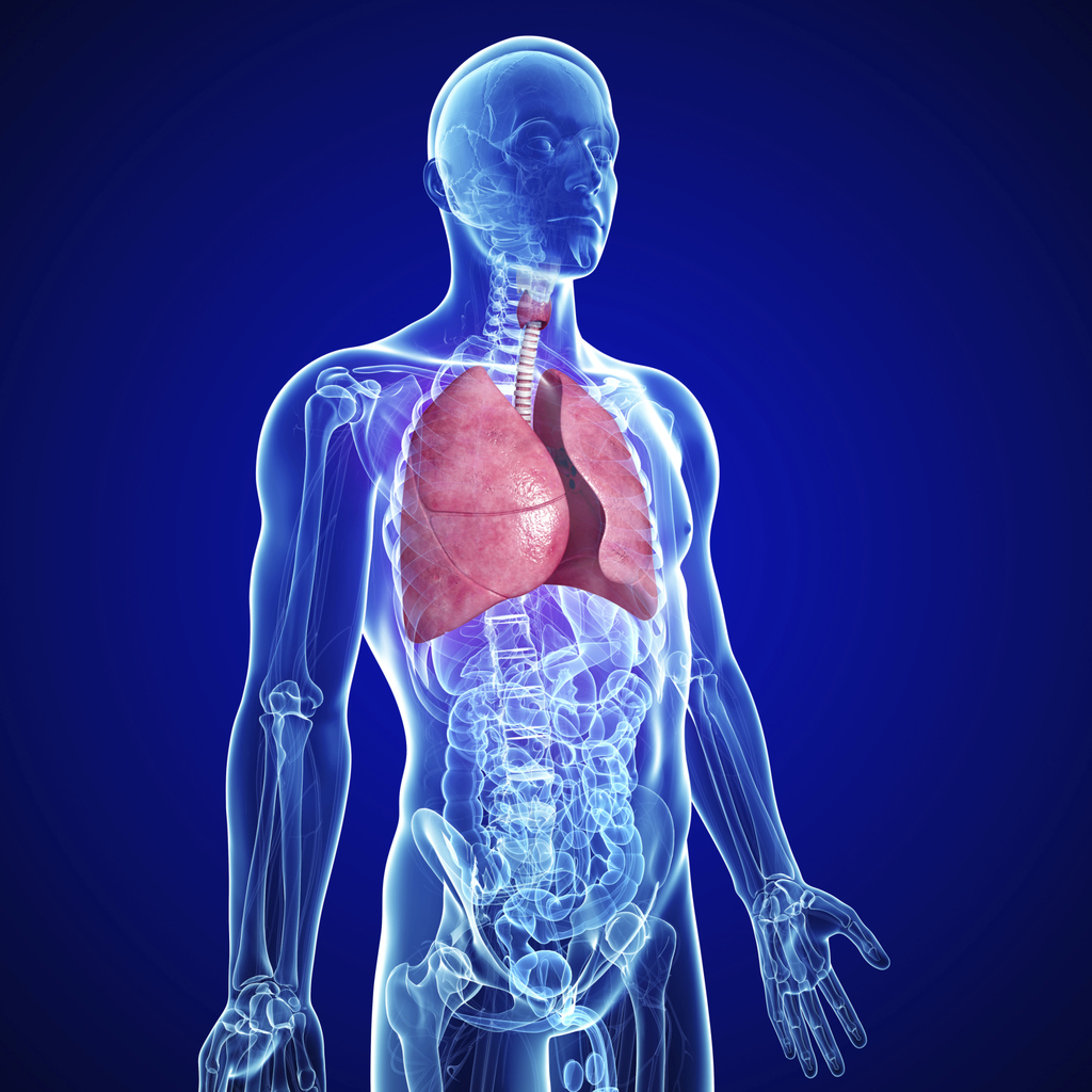Hemothorax What Does the Doctor Say?