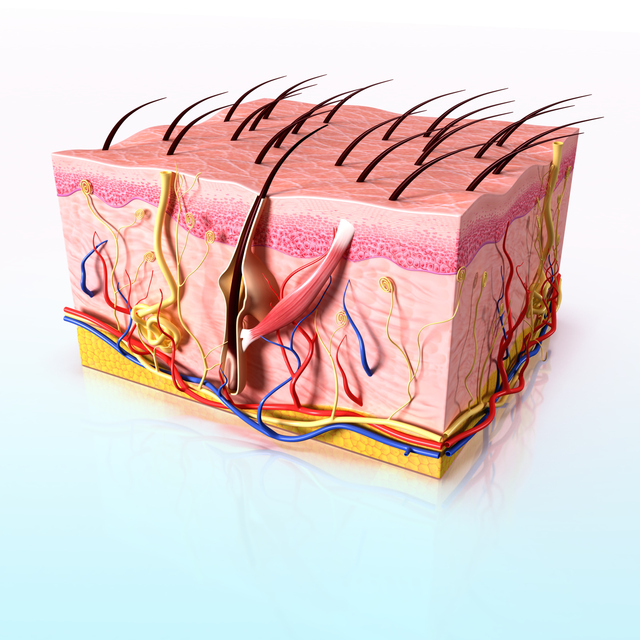 Do ingrown hair on vagina hurt and have mucus... - Doctor ...