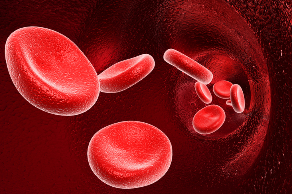 having a negative blood type having a negative blood type
