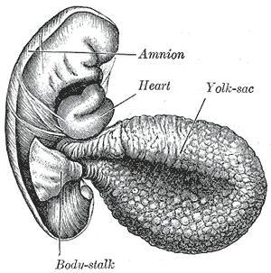 No symptoms after embryo transfer : (.
