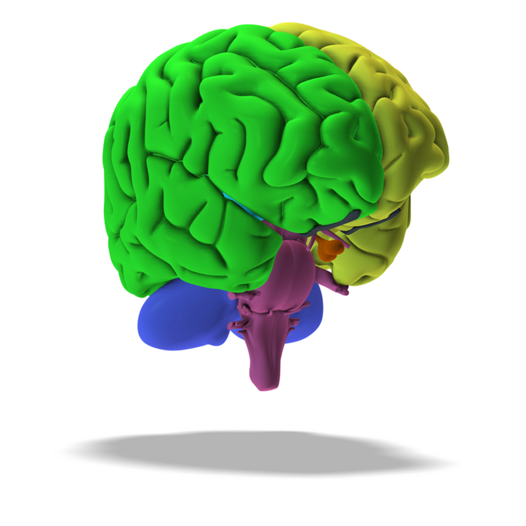 Best Movement disorder Doctor Answers on HealthTap